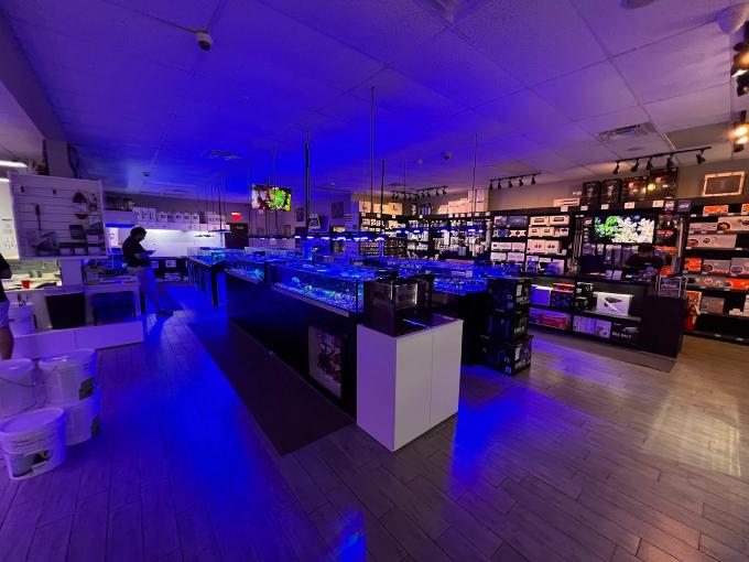 Image for Top Shelf Aquatics with ID of: 6551604