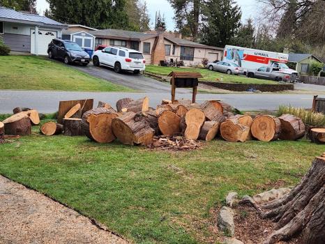 Image for AA Tree Service Inc with ID of: 6551652