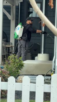 Image for Bliss Pest Services with ID of: 6552951