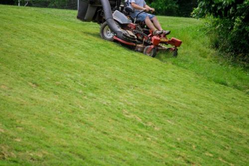 Image for Lismore Gardeners with ID of: 6554288
