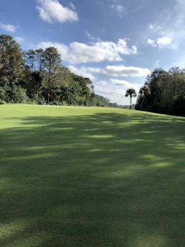 Image for Walt Disney World® Golf with ID of: 6554841