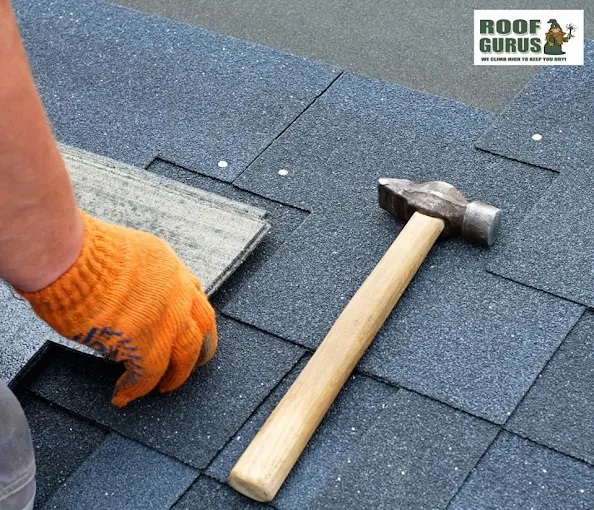 Image for Roof Gurus with ID of: 6556384