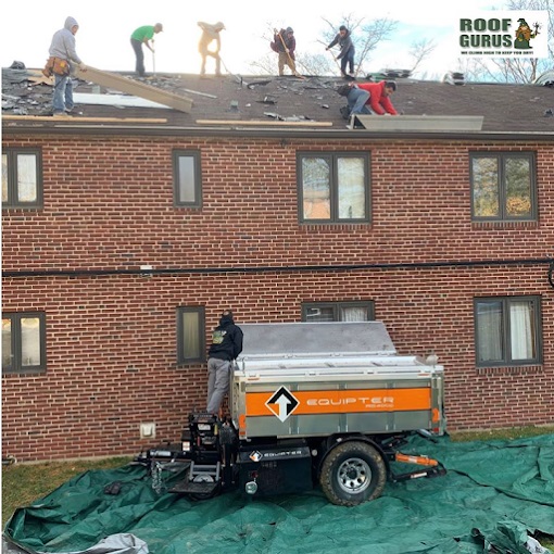 Image for Roof Gurus with ID of: 6556385
