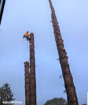 Image for ArborTech Inc. with ID of: 6557180