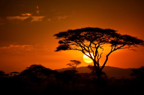 Image for Responsible Travel with ID of: 6557402