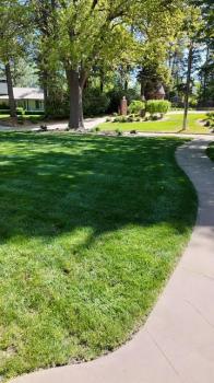 Image for Lawn Patrol with ID of: 6557688
