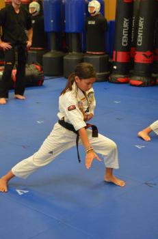 Image for Vision Martial Arts - Silver Creek with ID of: 6557704