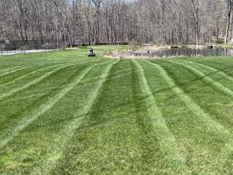Image for Griffins Landscaping - Westchester County NY with ID of: 6557757