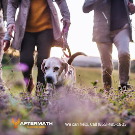 Image for Aftermath Behavioral Health with ID of: 6557936