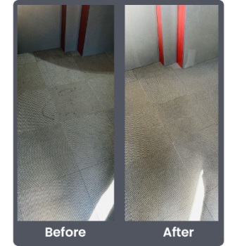 Image for Delight Carpet Care with ID of: 6560651