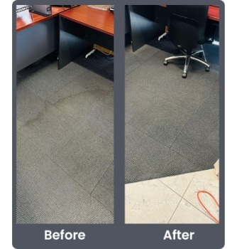 Image for Delight Carpet Care with ID of: 6560655