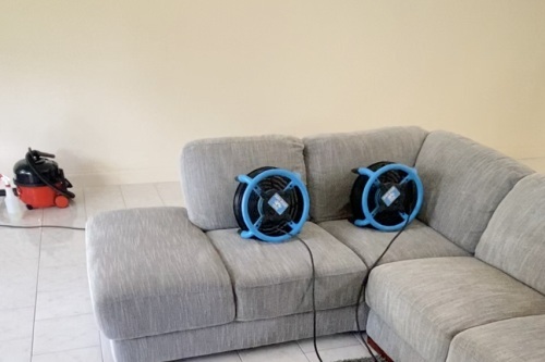 Image for Delight Carpet Care with ID of: 6560658