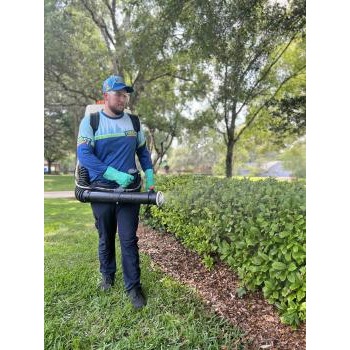 Image for Forest Pest Control with ID of: 6560812