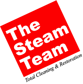 Image for The Steam Team with ID of: 6852095