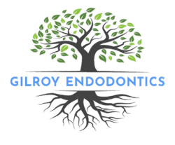 Image for Abbas Raissi, DDS - Gilroy Endodontics with ID of: 6852415