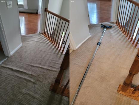 Image for Total Cleaning Service with ID of: 6561967