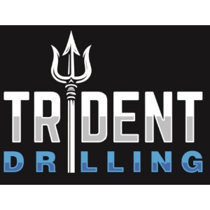 Image for Trident Drilling LLC with ID of: 6852598