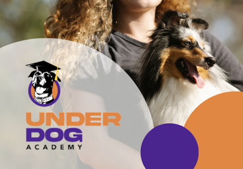 Image for UnderDog Academy with ID of: 6563754