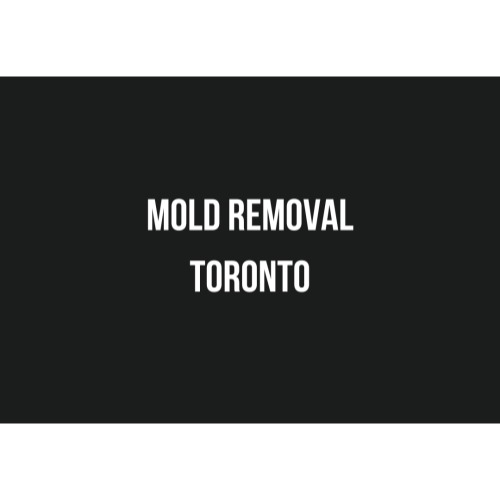 Image for MOLD REMOVAL TORONTO LTD with ID of: 6855222
