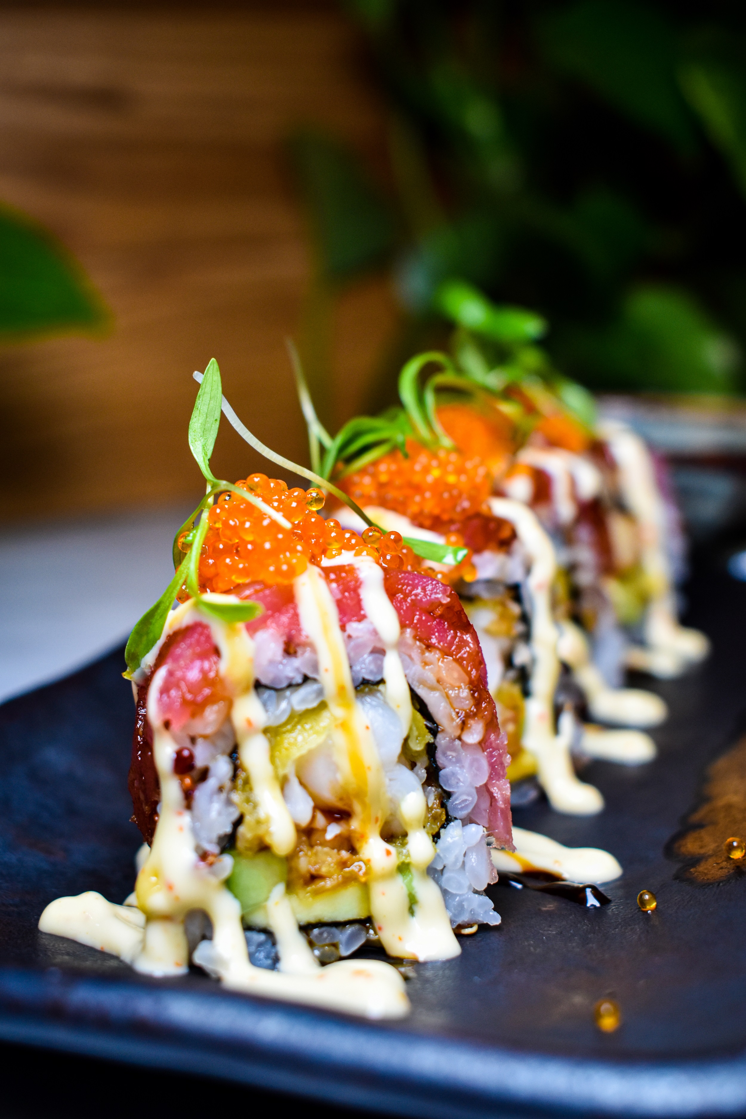 Image for IKA South American with ID of: 6566595