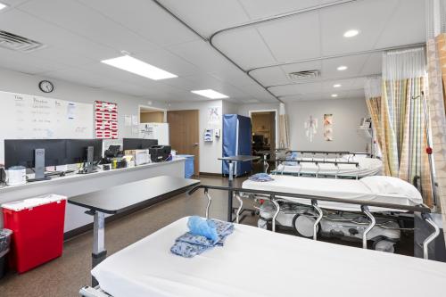 Image for Vascular Institute of Michigan with ID of: 6566641