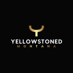 Image for Yellowstoned with ID of: 6856309