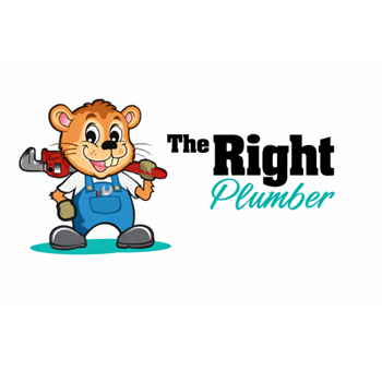 Image for The Right Plumber with ID of: 6857171