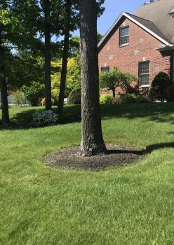 Image for Kelly's Landscaping Inc. with ID of: 6567674