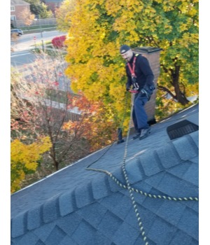 Image for Kia Pest Control & WildLife Removal with ID of: 6567909