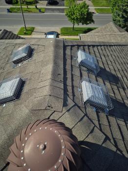 Image for Kia Pest Control & WildLife Removal with ID of: 6567910