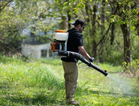 Image for D-Bug Pest Control with ID of: 6569044