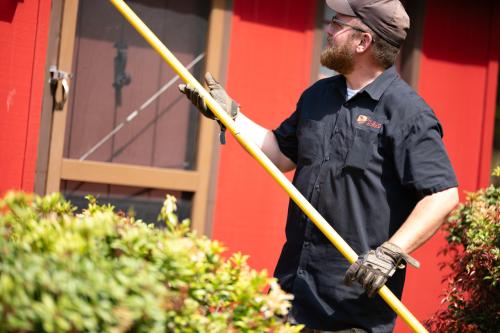 Image for D-Bug Pest Control with ID of: 6569045