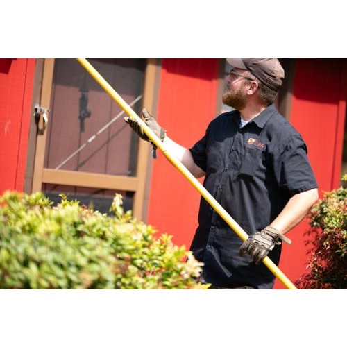 Image for D-Bug Pest Control with ID of: 6569626