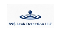 Image for 89 Leak Detection with ID of: 6859704