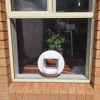 Image for Melbourne Dog Doors & Glass Replacement with ID of: 6570282