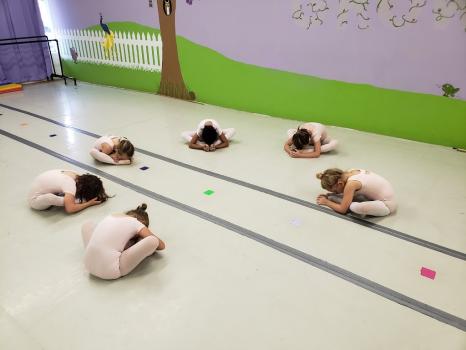 Image for Adagio Dance with ID of: 6572413