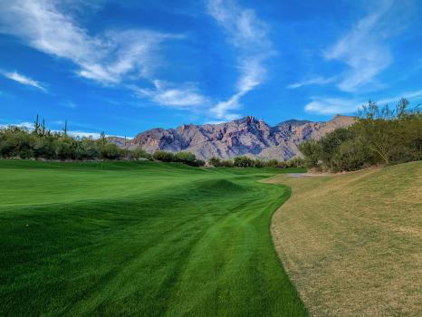 Image for Arizona Bin Cleaners LLC with ID of: 6573416