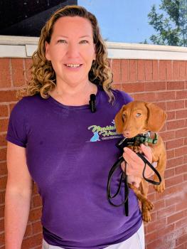 Image for Mariah Dog Training with ID of: 6575380