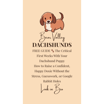 Image for Bear Valley Dachshunds with ID of: 6575556