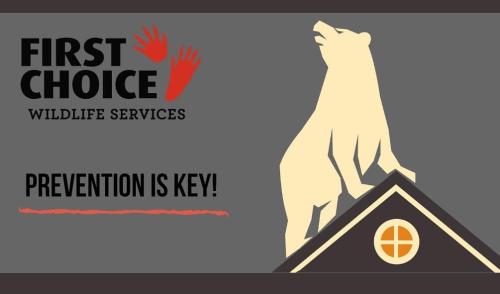 Image for First Choice Wildlife Services with ID of: 6575616