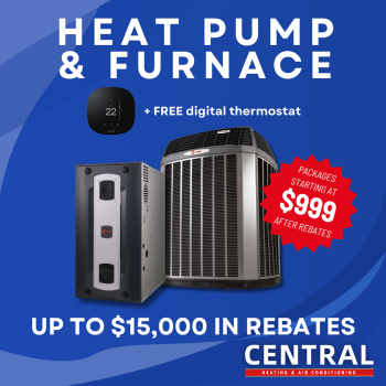Image for Central Commercial & Residential services ltd with ID of: 6575641
