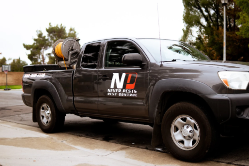 Image for NEVER PESTS PEST CONTROL with ID of: 6576295