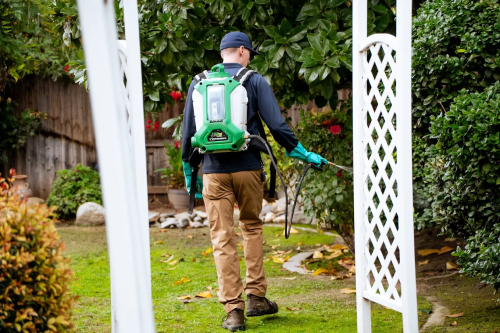 Image for NEVER PESTS PEST CONTROL with ID of: 6576296
