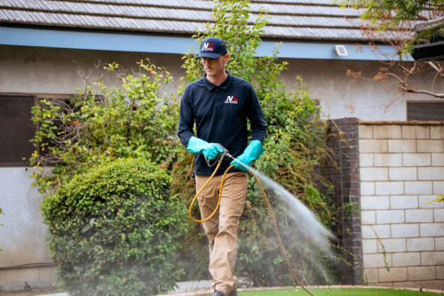 Image for NEVER PESTS PEST CONTROL with ID of: 6576297