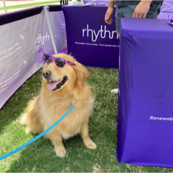 Image for Rhythm Energy with ID of: 6577887