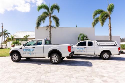 Image for Prodigy Pest Solutions with ID of: 6578000