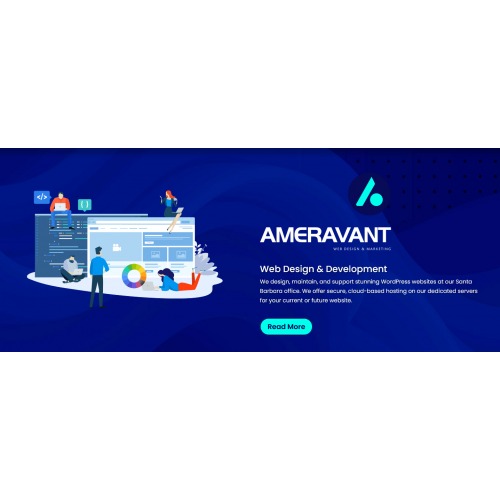 Image for Ameravant Web Design with ID of: 5467687