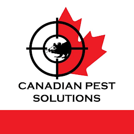 Image for Canadian Pest Solutions Windsor with ID of: 6860215