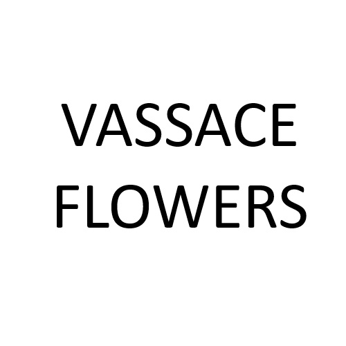 Image for VASSACE FLOWERS with ID of: 6862103