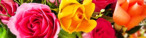 Image for Fernande Fleuriste with ID of: 6580131